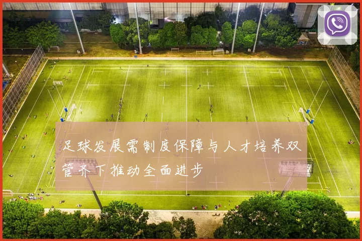 足球发展需制度保障与人才培养双管齐下推动全面进步