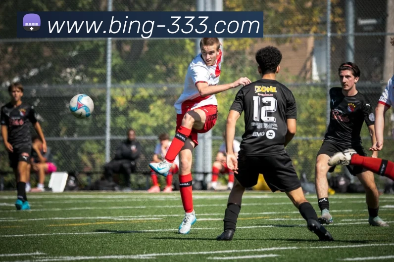 333体育平台生态图